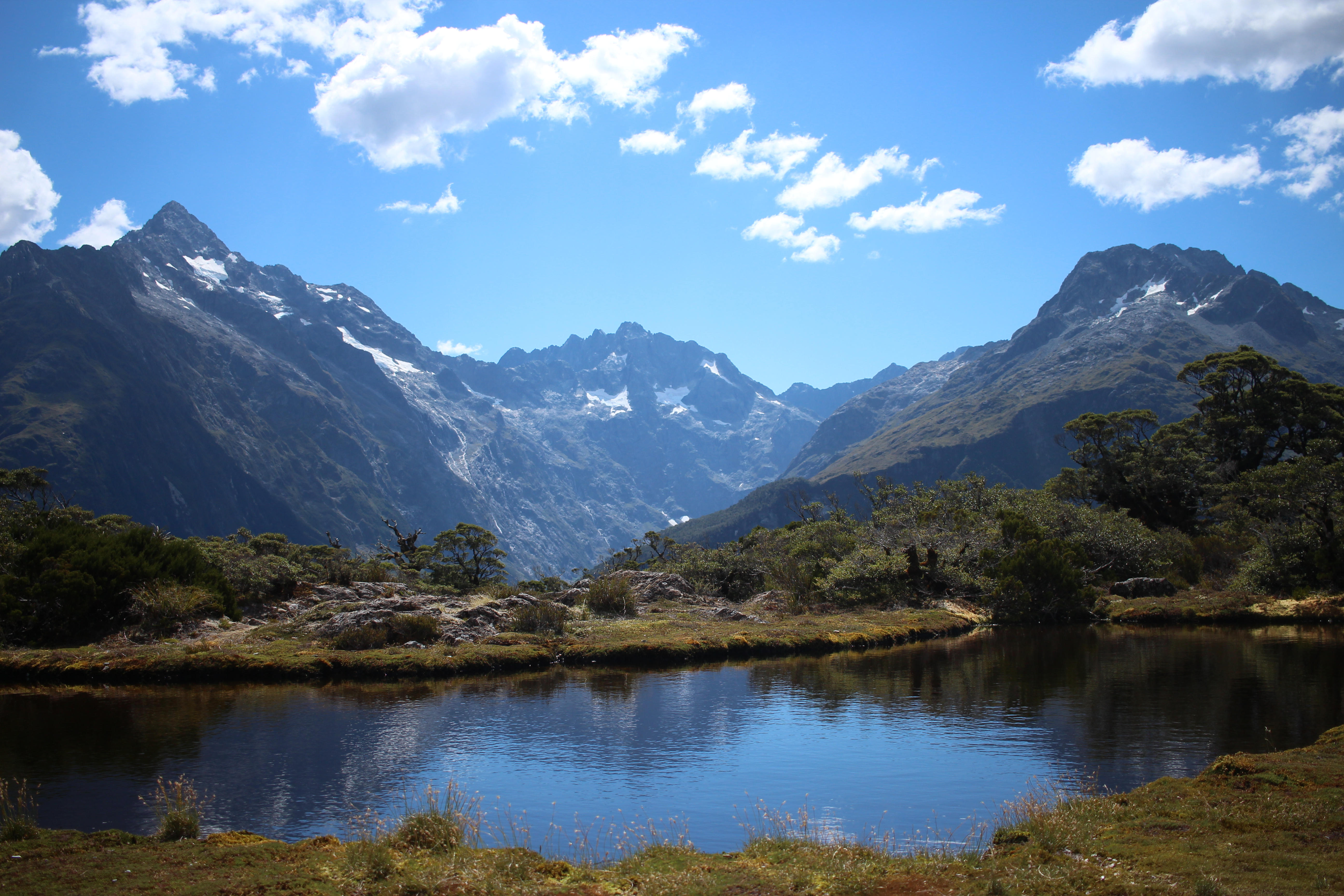 NZ2