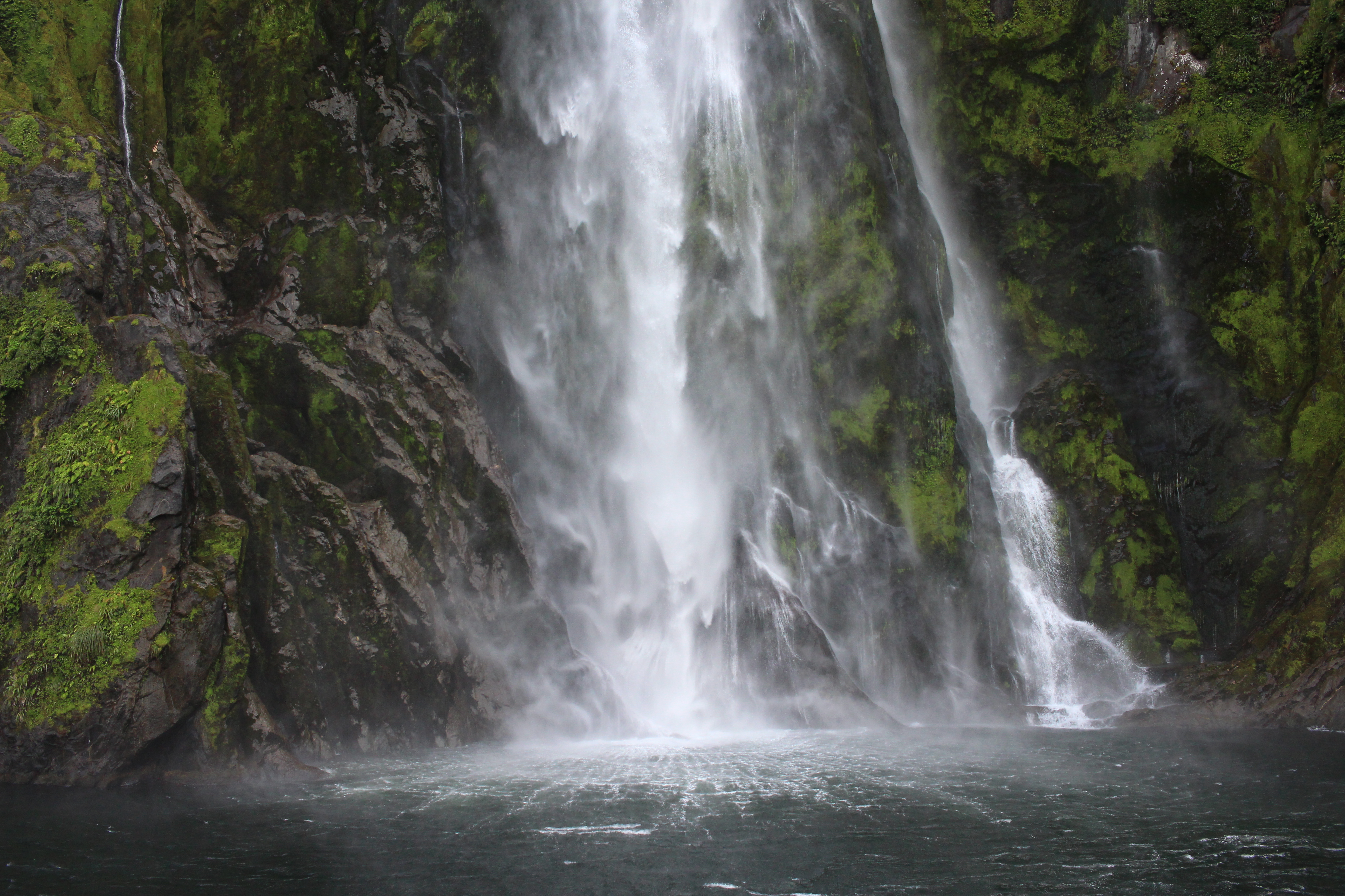 NZ4