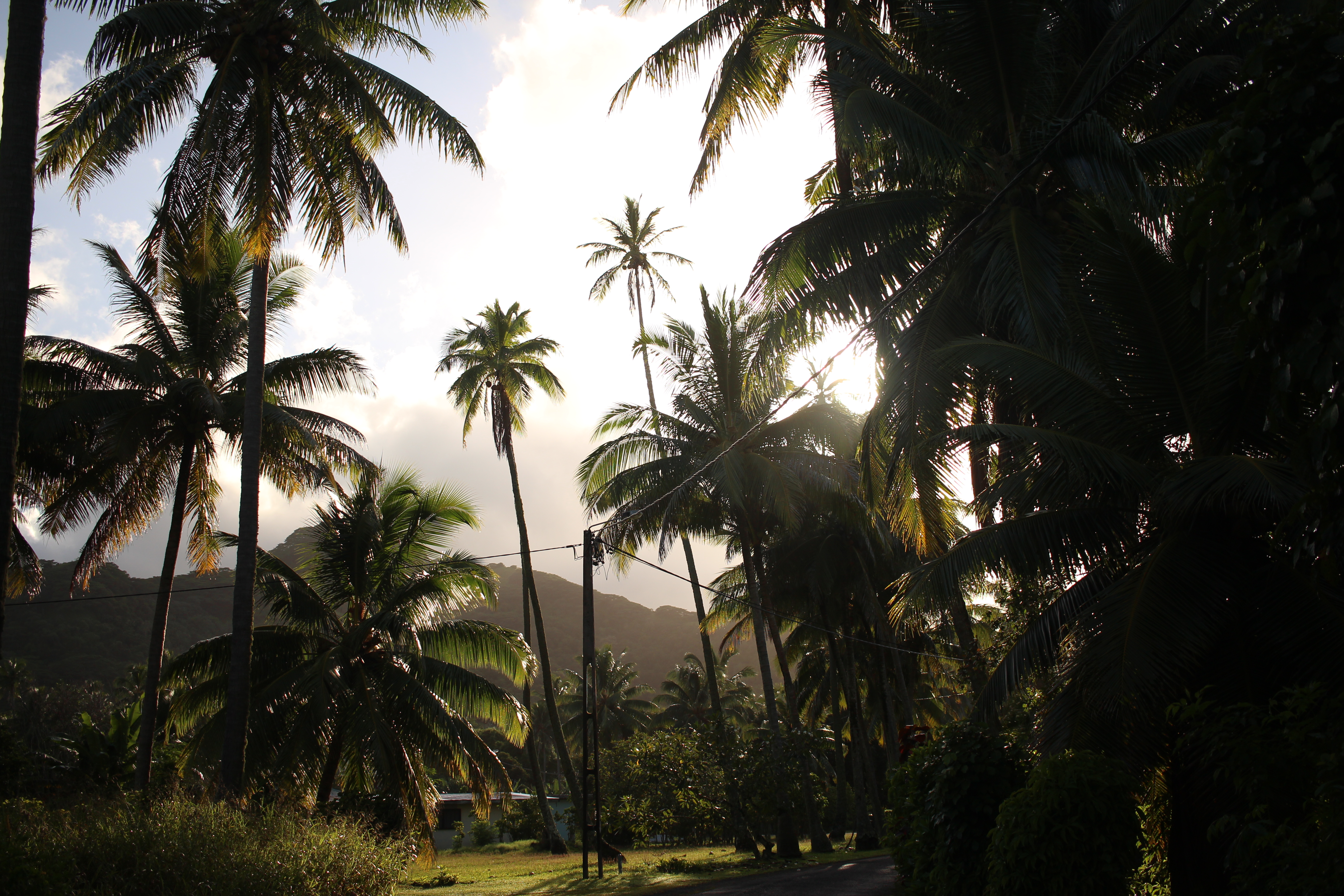 Cook Island