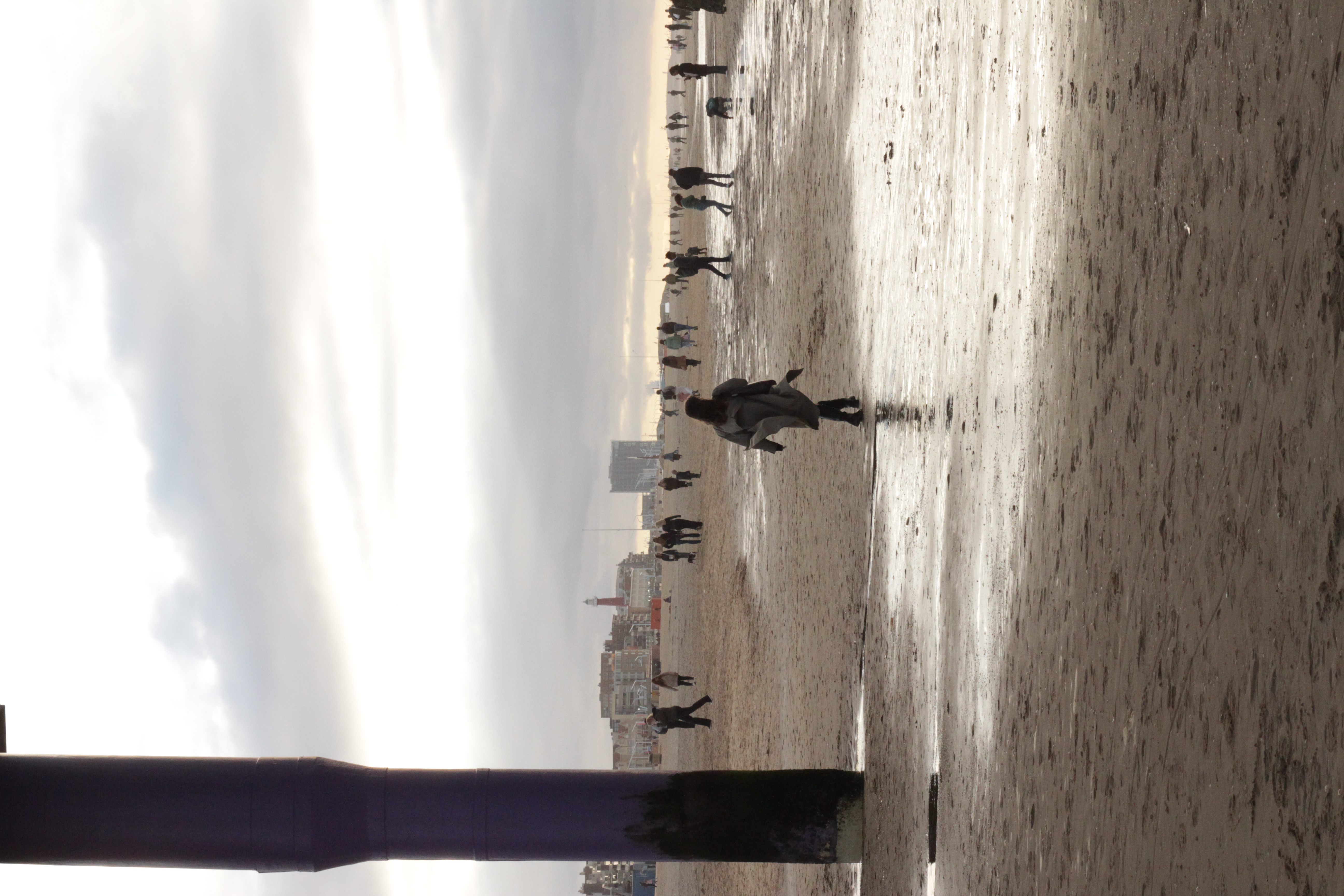 The Hague