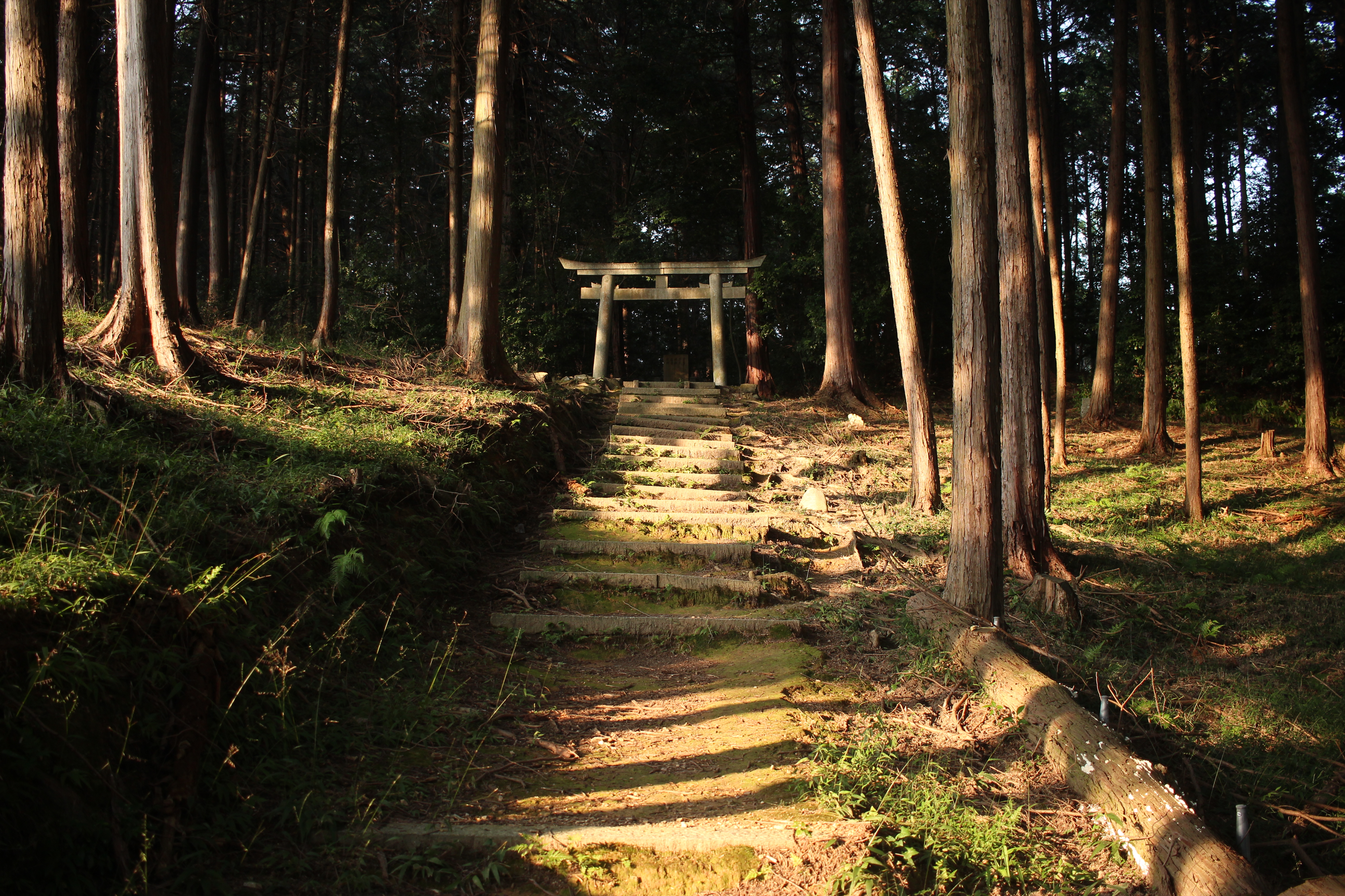 Japan